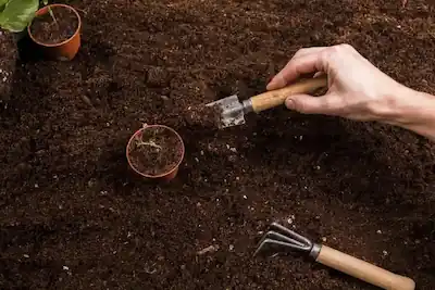 A person testing soil with a shovel.