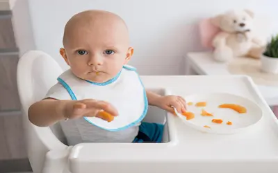 baby food: The infant in a high chair playing with a piece of food.