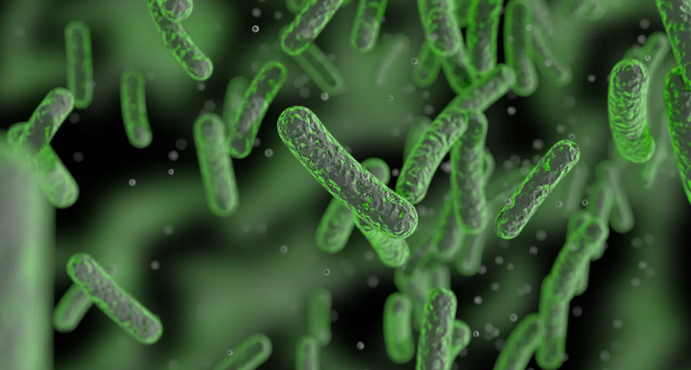 Microbiology Testing
