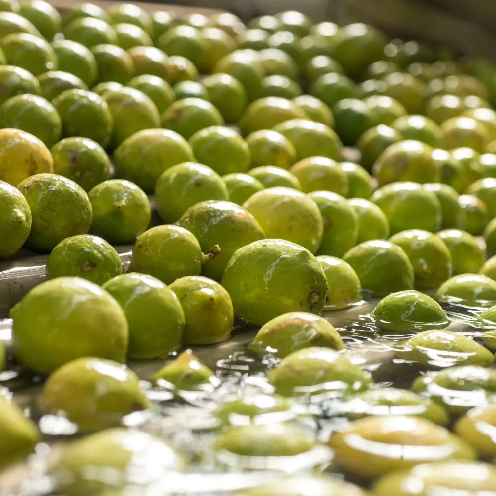 Food & Water Microbiology